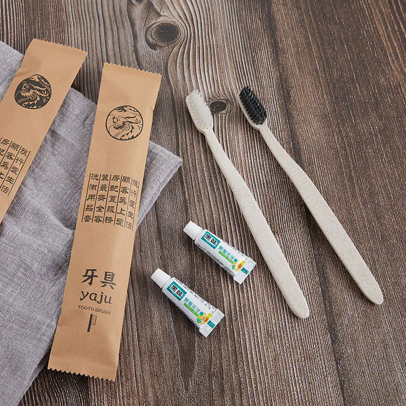 Custom Logo Disposable Hotel Toothbrush Set (Wholesale)